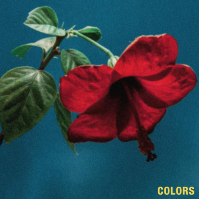  Colors 