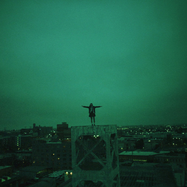  Swallowtail Butterfly 