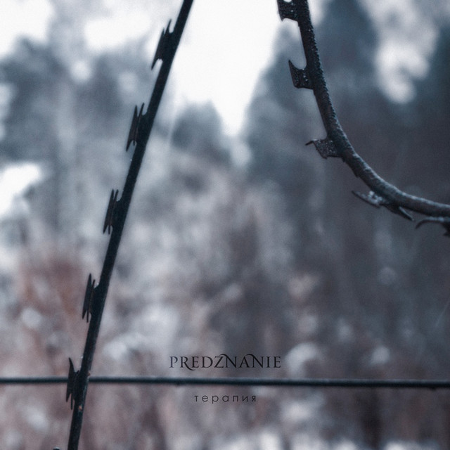 Меня никто не ждёт 