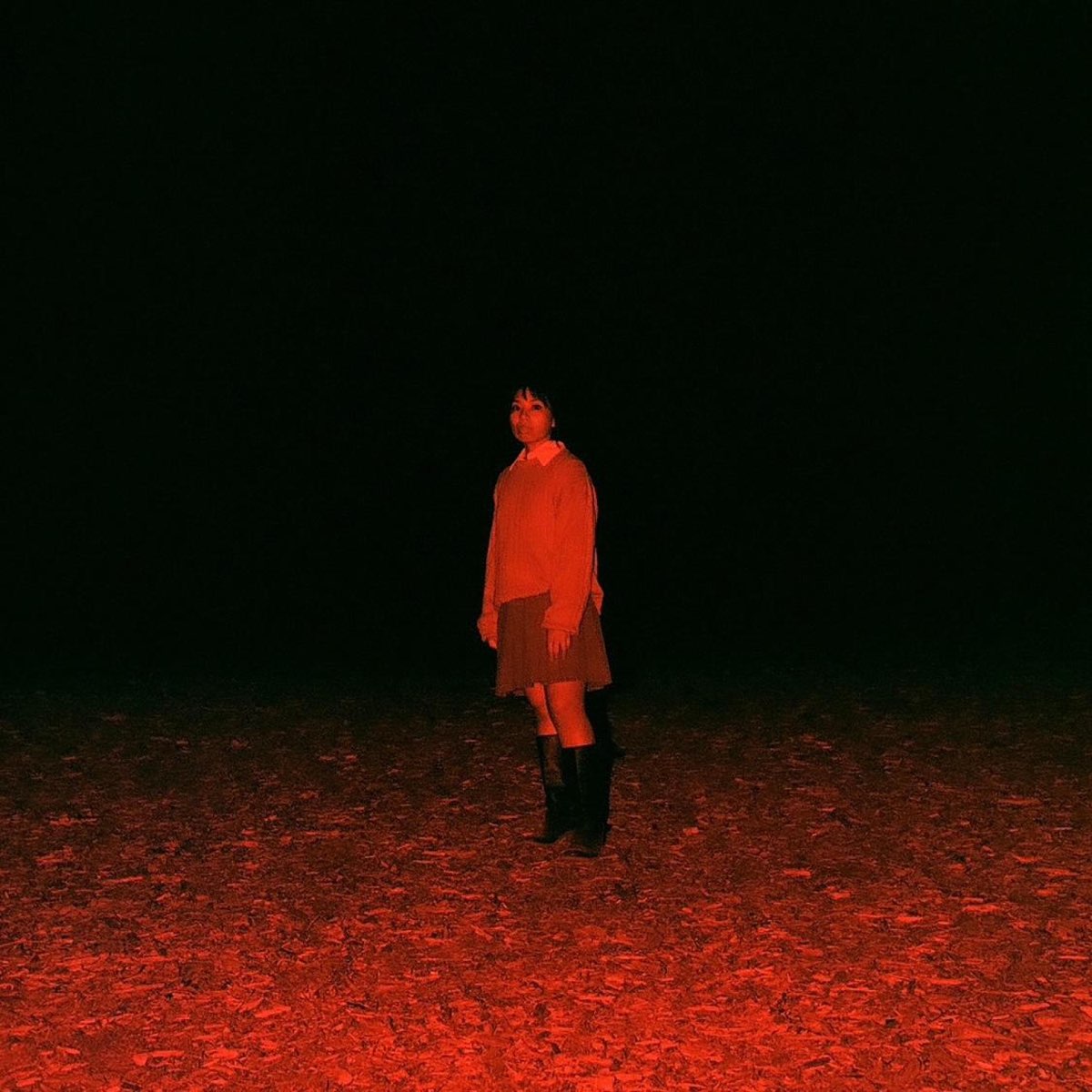 Insanity Among Penguins